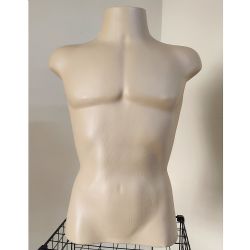 Busto manequin masculino